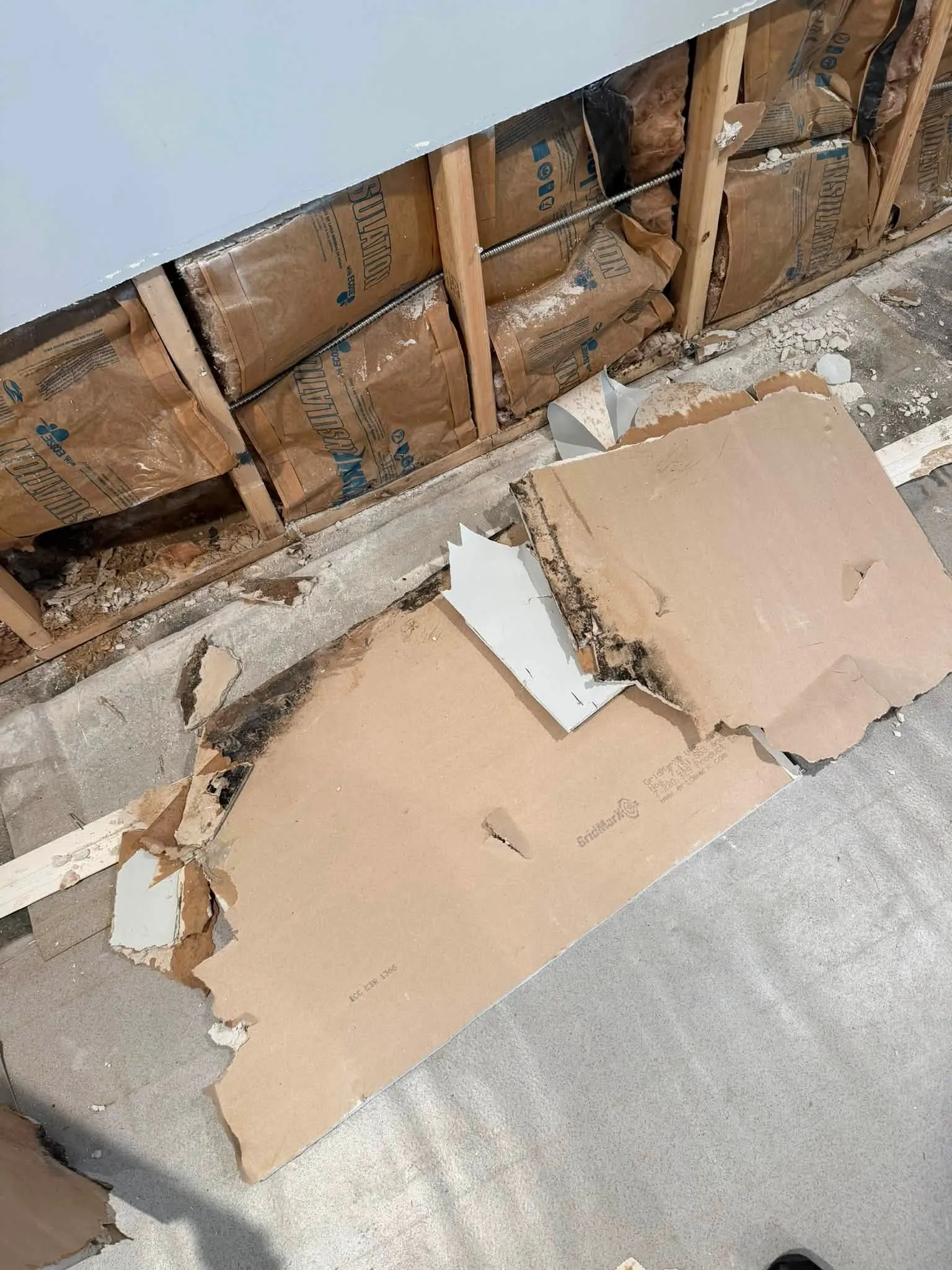 Basement wall opened to expose wet insulation and water-damaged drywall at the source of a leak